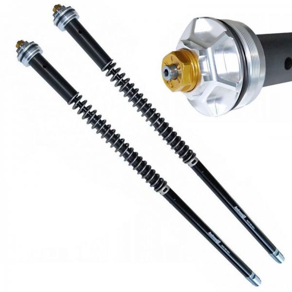 Andreani Cartuchos de horquilla regulables Misano EVO Honda CTX 1300 2014-16 (Kayaba 43)