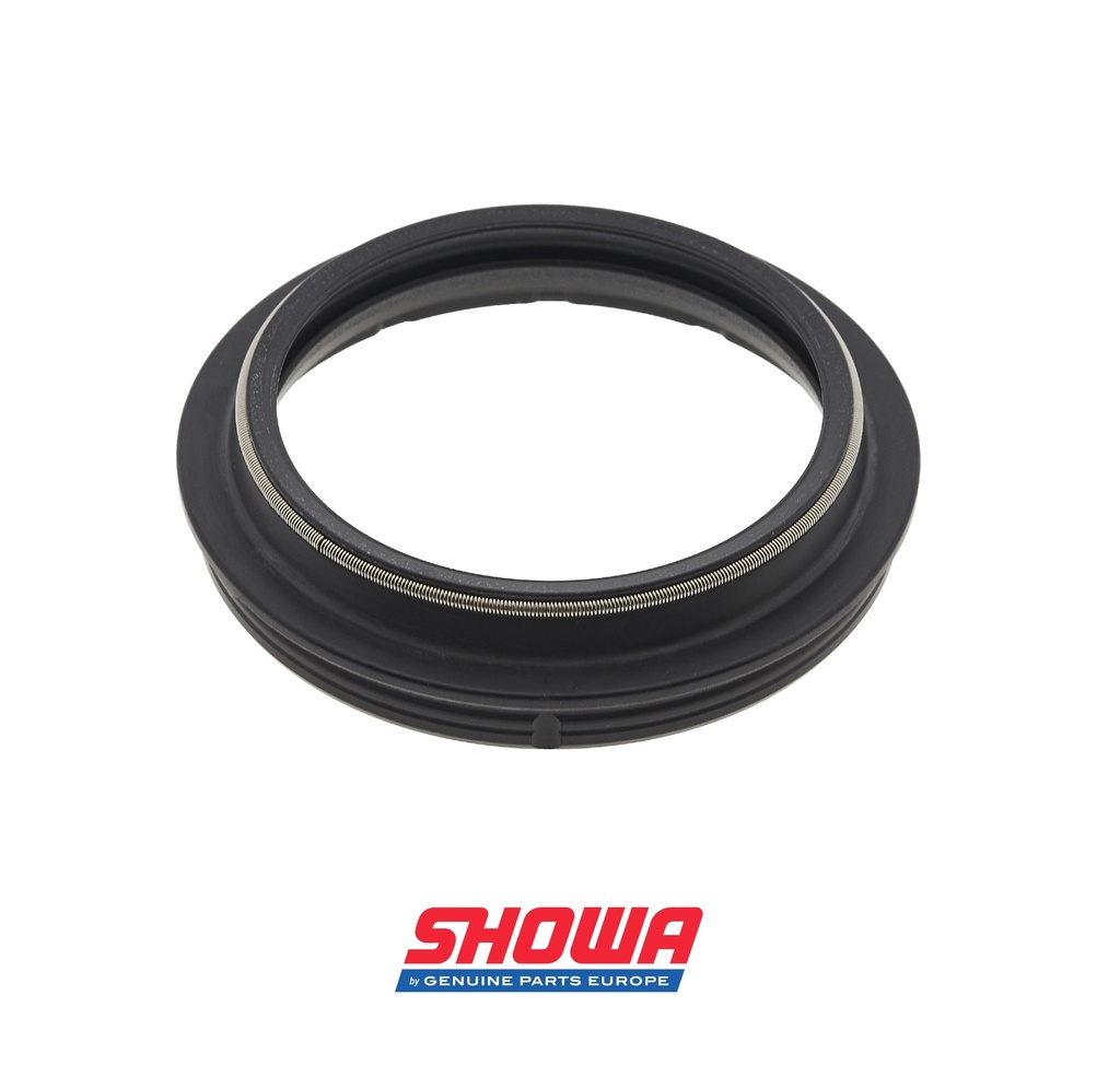 Dust Seal 48x58.6x10 (with spring)
