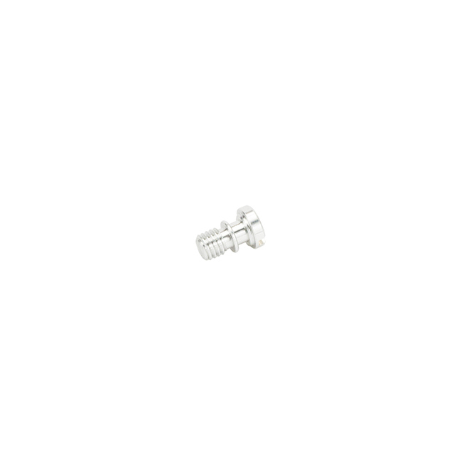 Plug bolt