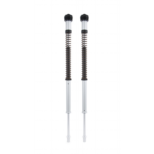 Öhlins Cartucho de horquilla NIX30 Ducati Monster 950 2021-2023