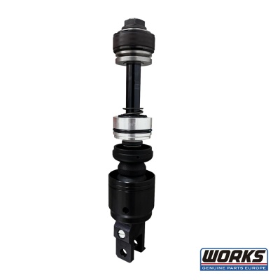 Piston rod comp. 18mm DLC / CRF 17-24