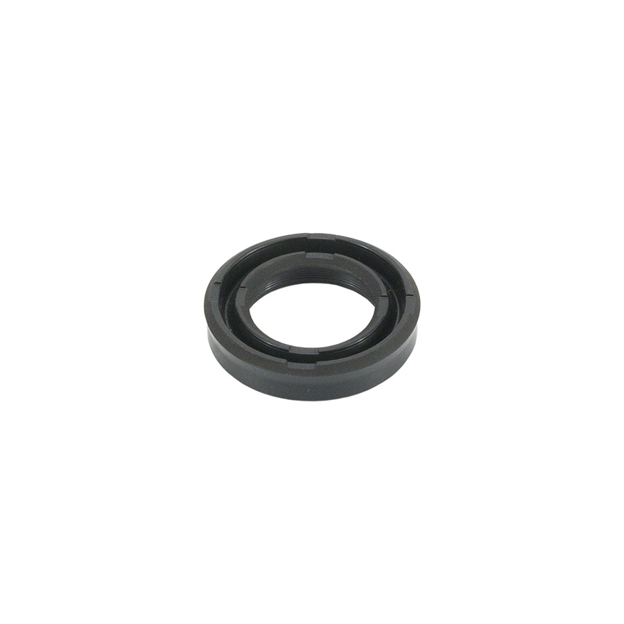 Piston Seal