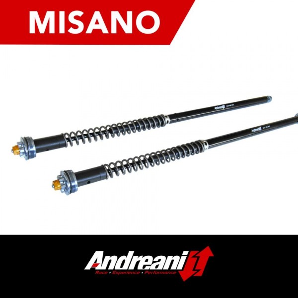 Andreani Cartuchos de horquilla regulables Misano Bimota DB3 (Marzocchi RAC 50)