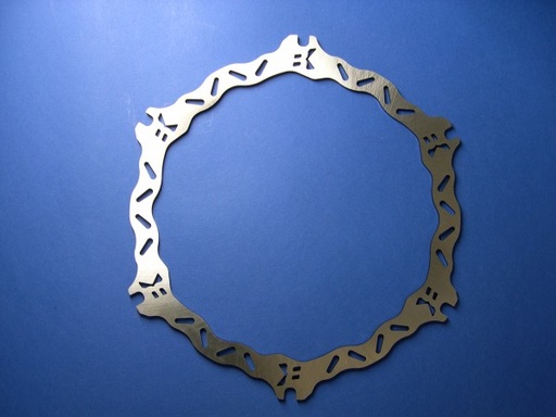 [BL02FID] Braking Disco de freno delantero W-FIX Ø367,3/306,5 para Buell
