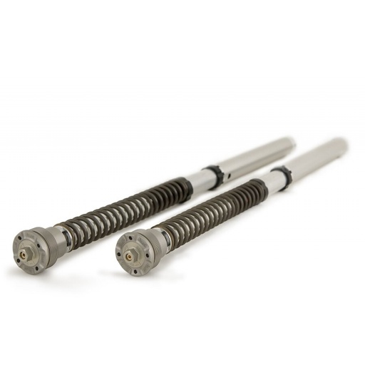 [FGK 243] Öhlins Cartucho de horquilla NIX30 Aprilia RS 660 2021-2022