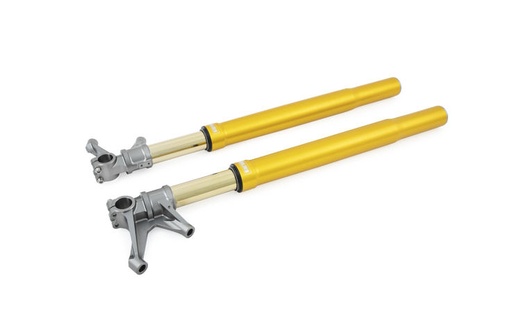 [FGR 250] Öhlins Horquilla FGR200 Horquilla Superbike