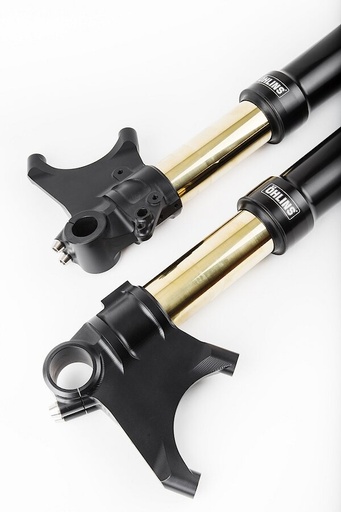 [FGRT 301] Öhlins Horquilla FGRT200 Ducati Diavel 2011-2018