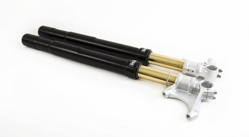 [FGRT 227] Öhlins Horquilla FGRT200 BMW R Nine T 2017-2023