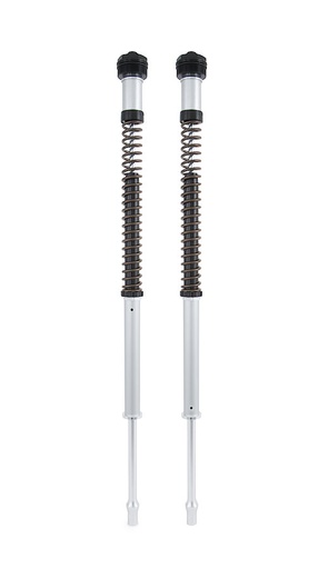 [FKS 211] Öhlins Cartucho de horquilla NIX22 BMW R Nine T Scrambler 2016-2022