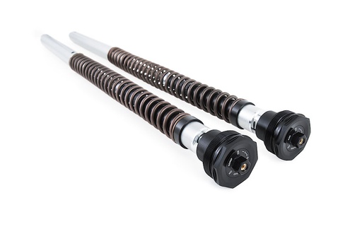 [FKA 109] Öhlins Cartucho de horquilla NIX30A Ducati Scrambler Desert SLED 2017-2022
