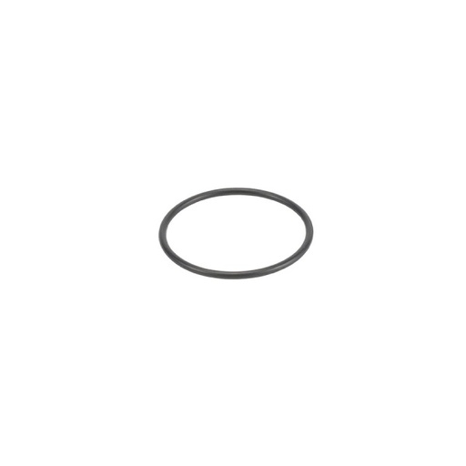 [F34000028] O Ring 22,1 x 25,9 x 1,9