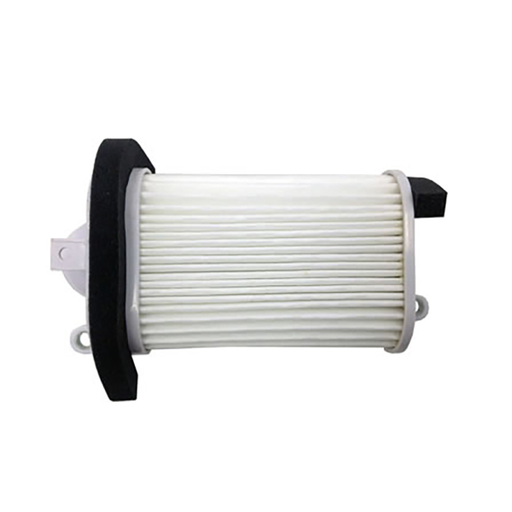 [R100602885] CHAMPION Filtro de aire CAF3509