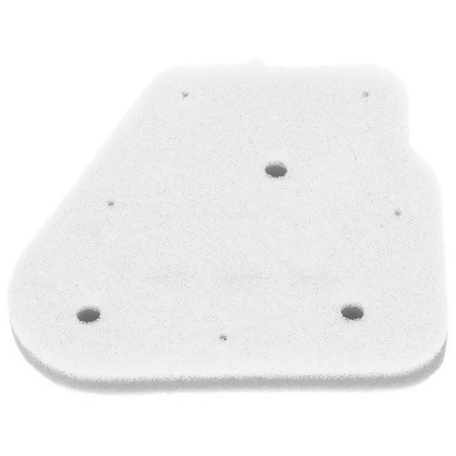 [R100605535] CHAMPION Filtro de aire CAF3001DS