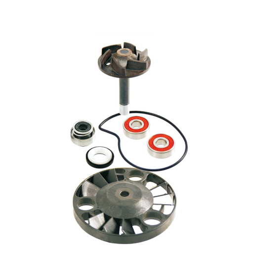 [R100110070] Kit de reparación de bomba de agua RMS Piaggio Beverly 125-200cc / Hexagon Gtx 125-180cc