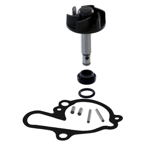 [R100110081] Kit de reparación de bomba de agua RMS Minarelli Am6