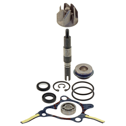 [R100110310] RMS Kit de reparación de bomba de agua Honda Foresight 250cc 1998