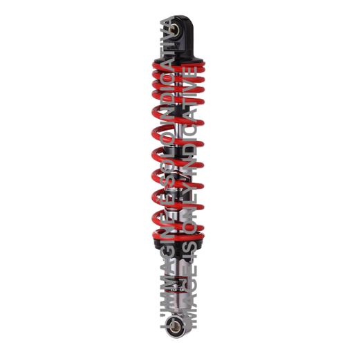 [R204591525] YSS Par de amortiguadores RD222-350P-25-18