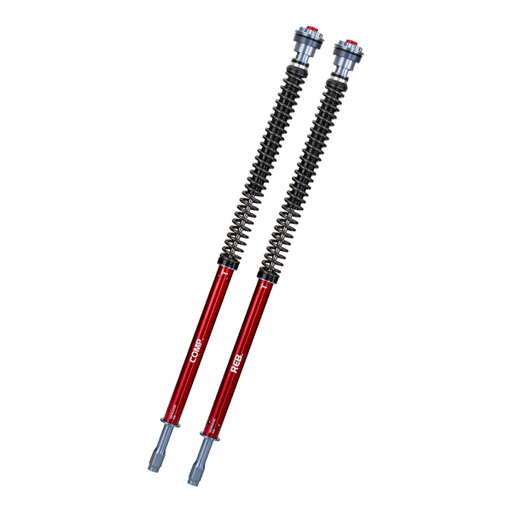 [R204593367] KIT DE CARTUCHOS CO208-850TRC-01